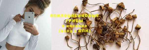 спиды Богородицк