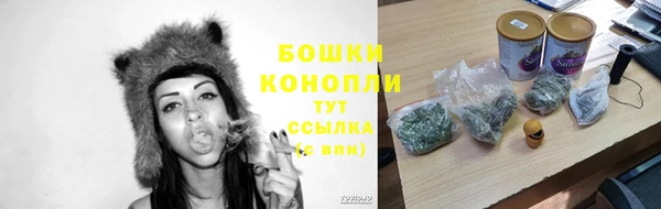 спиды Богородицк