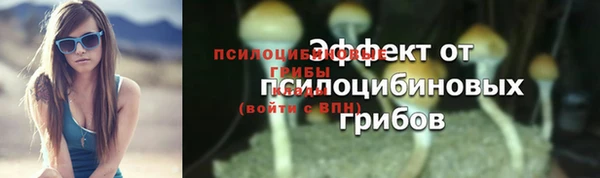 прущий лед Бугульма