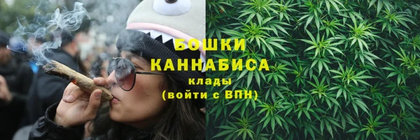 спиды Богородицк
