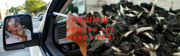 спиды Богородицк