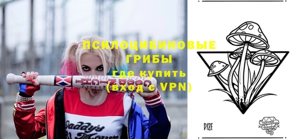 спиды Богородицк