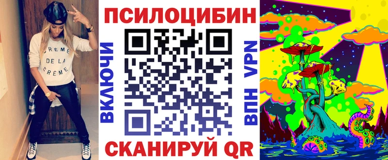Купить  Кубинка  Псилоцибиновые грибы GOLDEN TEACHER 